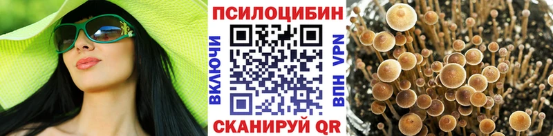 Псилоцибиновые грибы мухоморы  Колпашево 